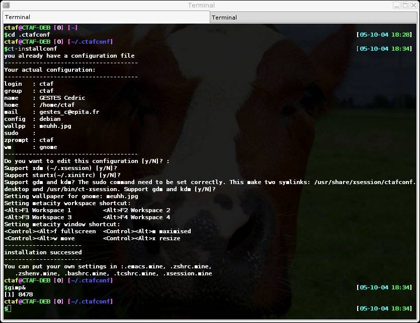 ctafconfinstall-0.1.0-rc2.jpg